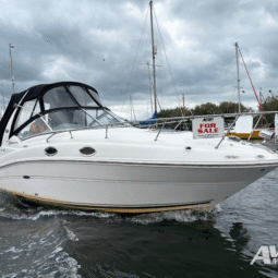 Sea Ray 260 Sundancer | Mercruiser 350 MAG | 2009