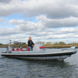 RIBEYE S785  | Yamaha 300hp | 2014